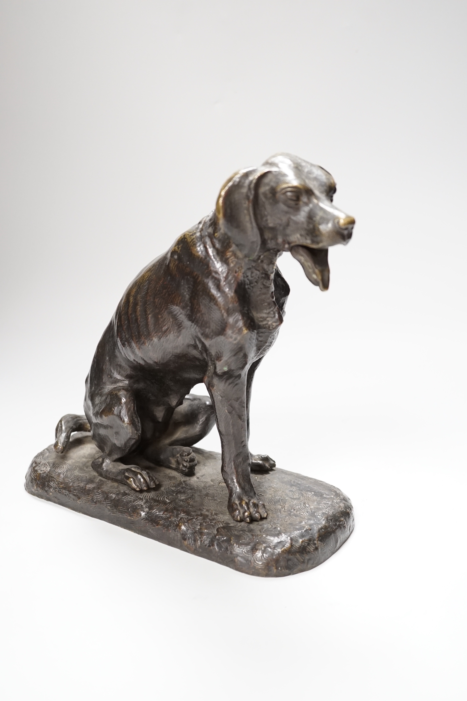 A late 19th century bronze hound with an articulated mouth, 26cm high
